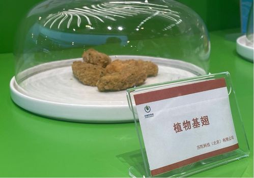 探館 這些黑科技你可能沒見過