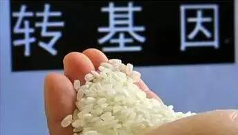 再過1天,吳江人做這些事全部免費 省下一大筆錢