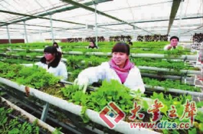 大豐海洋生物產(chǎn)業(yè)園成為國(guó)家級(jí)基地 時(shí)事